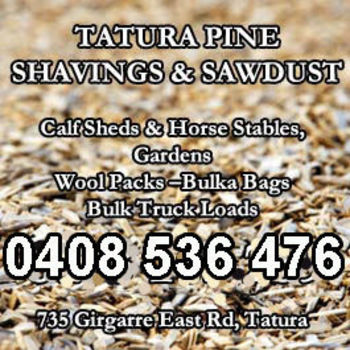 TaturaPineShavings.jpg